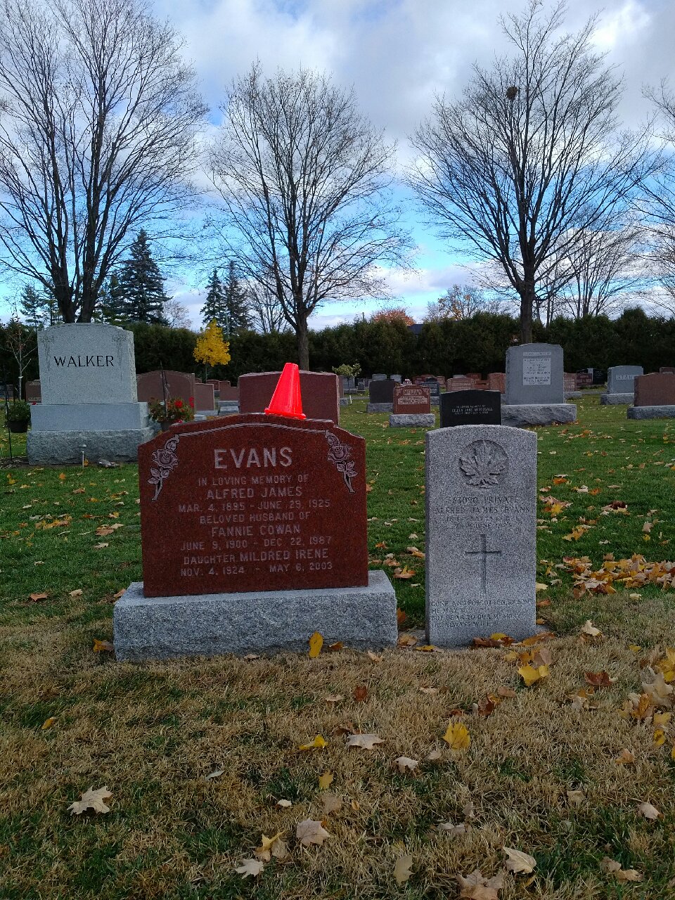 Evans